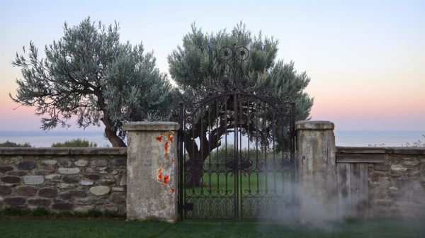 Top 5 jardiniers paysagistes à Marseille pour vos projets
